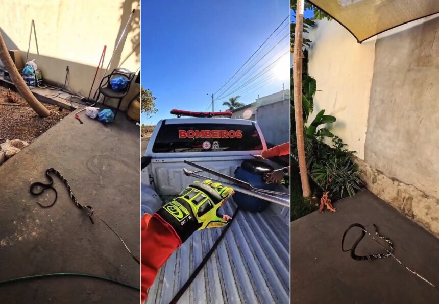 Créditos: Foto/Divulgação