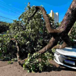 Créditos: Foto/Divulgação