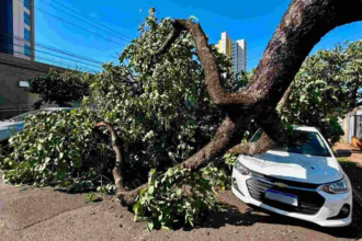 Créditos: Foto/Divulgação